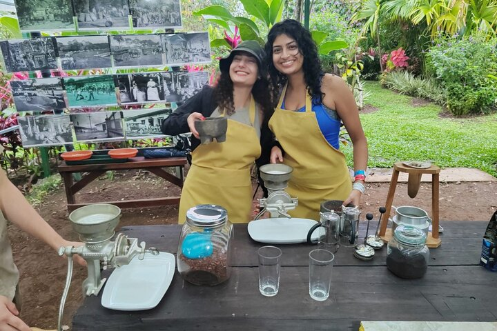 Discover the fascinating world of native bees and healing honey - Photo 1 of 25